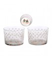 Verres bodega Chat, le lot de 3